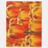 COUVERTURE POLAIRE ÉCLAIRAGE DES TULIPS (Devant)