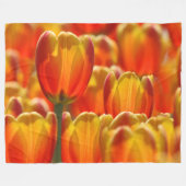 COUVERTURE POLAIRE ÉCLAIRAGE DES TULIPS (Devant (Horizontal))