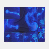 Couverture Polaire École de Jellfish (Devant (Horizontal))