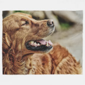 COUVERTURE POLAIRE ECRAN IRLANDAIS (Devant (Horizontal))