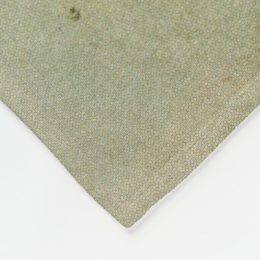 Couverture Polaire Écran solaire ? (Coin)