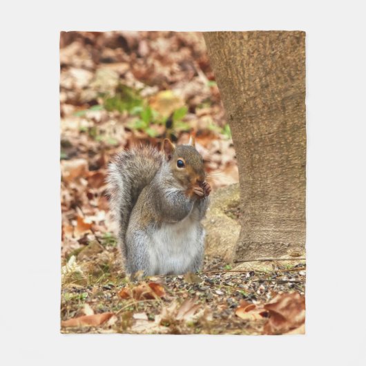 Couverture Polaire Écureuil affamé (Devant)