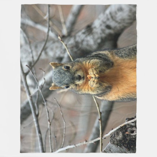 COUVERTURE POLAIRE ÉCUREUIL GRIS (Devant)