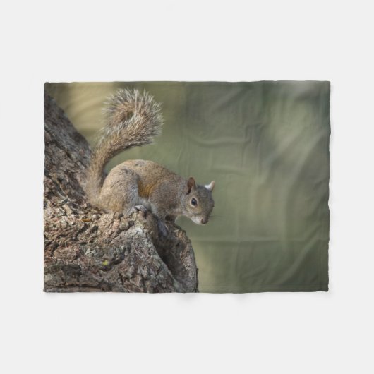 Couverture Polaire Écureuil gris de l'Est, ou écureuil gris (Devant (Horizontal))