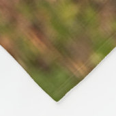 Couverture Polaire Écureuil gris, manger, arachide, Springs Crystal (Coin)