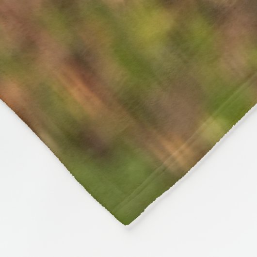 Couverture Polaire Écureuil gris, manger, arachide, Springs Crystal (Coin)