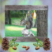 Couverture Polaire Écureuil Jetant Blanche, Les Amateurs D'Écureuil C