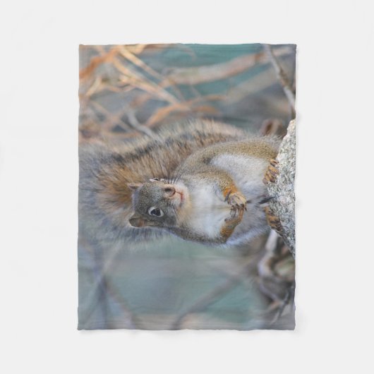 Couverture Polaire Écureuil rouge (Devant)