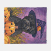 Couverture Polaire Éffrayant Affenpinscher Halloween sorcière et Citr (Devant (Horizontal))