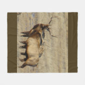 Couverture Polaire Élan mâle E24 (Devant (Horizontal))