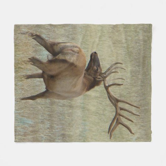 Couverture Polaire Élans d'E6 Taureau en velours (Devant (Horizontal))