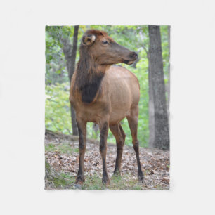Couverture Polaire Élans de vache