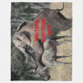 COUVERTURE POLAIRE ÉLECTION À MILIEU TERME 2014 (Devant)