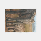 Couverture Polaire Éléphant (Devant (Horizontal))