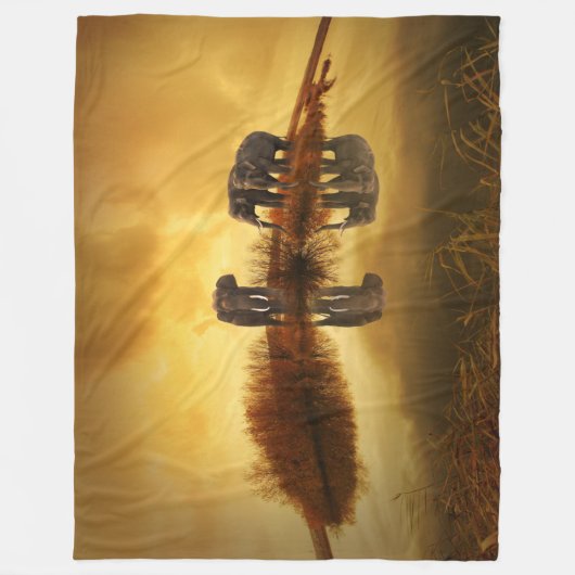 Couverture Polaire Éléphant dans le coucher du soleil (Devant)