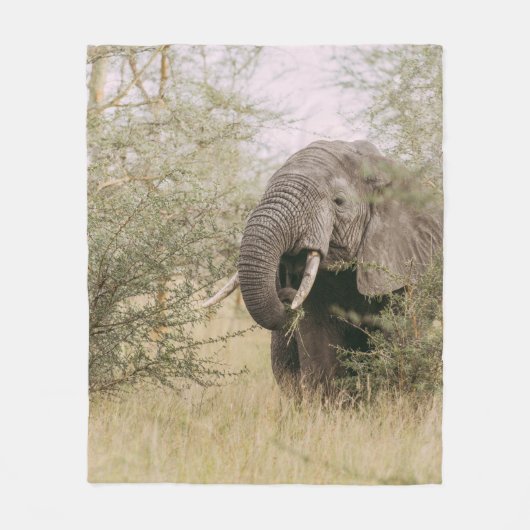 COUVERTURE POLAIRE ÉLÉPHANT MANGEANT D'UN ARBRE (Devant)