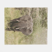 COUVERTURE POLAIRE ÉLÉPHANT REGARDANT UNE VOITURE D'EXCURSION (Devant (Horizontal))