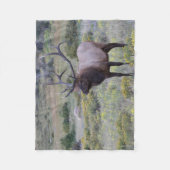 Couverture Polaire Elk américain | Parc national Rocky, Colorado (Devant)