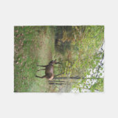 Couverture Polaire Elk femelle dans le champ d'automne (Devant (Horizontal))