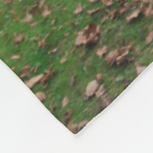 Couverture Polaire Elk femelle dans le champ d'automne (Coin)