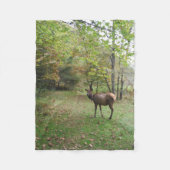 Couverture Polaire Elk femelle dans le champ d'automne (Devant)