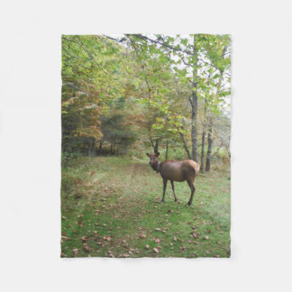 Couverture Polaire Elk femelle dans le champ d'automne