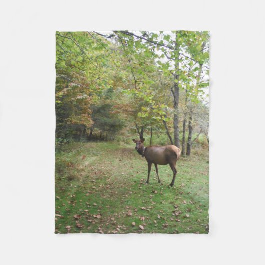 Couverture Polaire Elk femelle dans le champ d'automne (Devant)