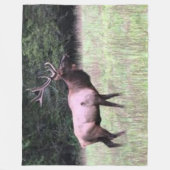 COUVERTURE POLAIRE ELK MAJESTIQUE (Devant)