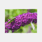 Couverture Polaire énergie katydone (Devant (Horizontal))