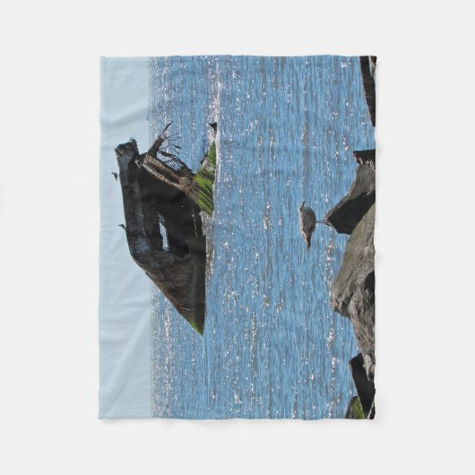 Couverture Polaire Épave du cap May (Devant)