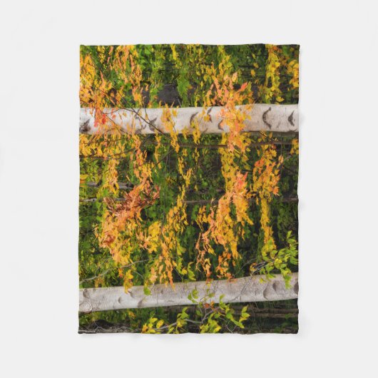 Couverture Polaire Érable et bouleau | White Mountains, NH (Devant)