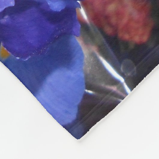 Couverture Polaire Ermengarde (Coin)