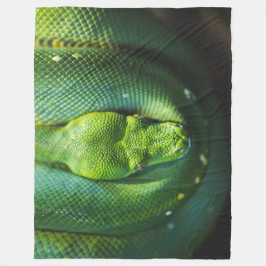 COUVERTURE POLAIRE ESNAKE VERT (Devant)
