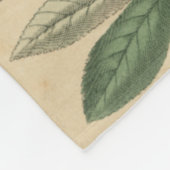 Couverture Polaire Étapes de la vie de papillon par le studio de (Coin)