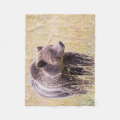 Couverture Polaire États-Unis, Wyoming, Parc national de Yellowstone, (Devant)