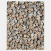 Couverture Polaire Etoiles le long du Rio Grande Cotton Bois Talki (Devant)