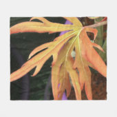 Couverture Polaire Étude sur la feuille 2 (Devant (Horizontal))