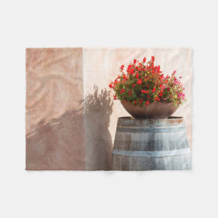 Couverture Polaire Europe, Italie, Toscane. Pot de fleurs