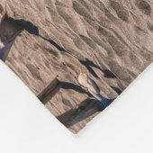Couverture Polaire Évolution (Coin)