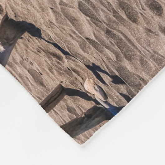 Couverture Polaire Évolution (Coin)