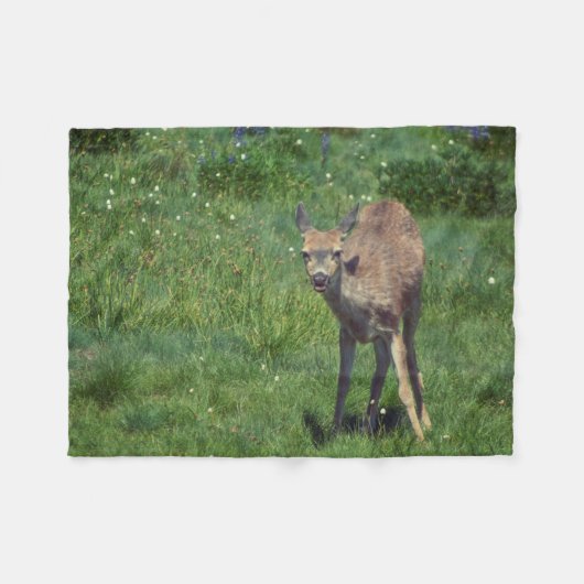Couverture Polaire Faire face (Devant (Horizontal))