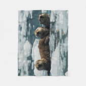 Couverture Polaire Famille de loutre de mer (Devant)