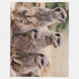 Couverture Polaire Famille Meerkat