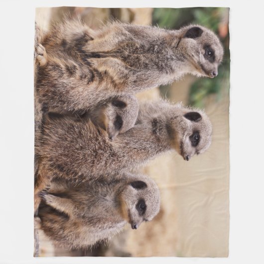 Couverture Polaire Famille Meerkat (Devant)