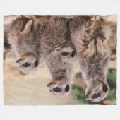 Couverture Polaire Famille Meerkat (Devant (Horizontal))