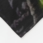 COUVERTURE POLAIRE FANTACY SHARK (Coin)