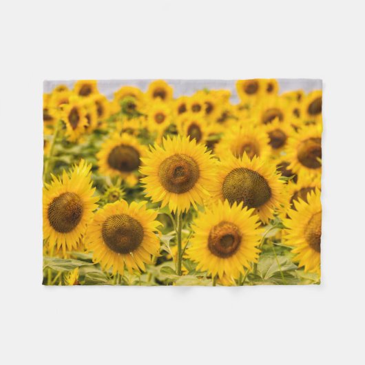 Couverture Polaire Farms | A Sunflower (Devant (Horizontal))
