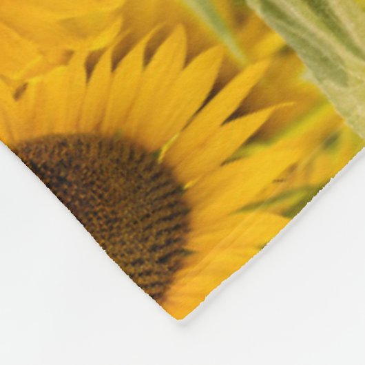 Couverture Polaire Farms | A Sunflower (Coin)