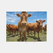 Couverture Polaire Farms | Brown cow (Devant (Horizontal))