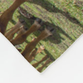 Couverture Polaire Farms | Brown cow (Coin)